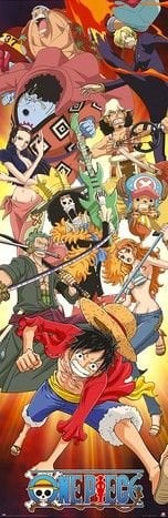 ONE PIECE DOOR POSTER (İTHAL)