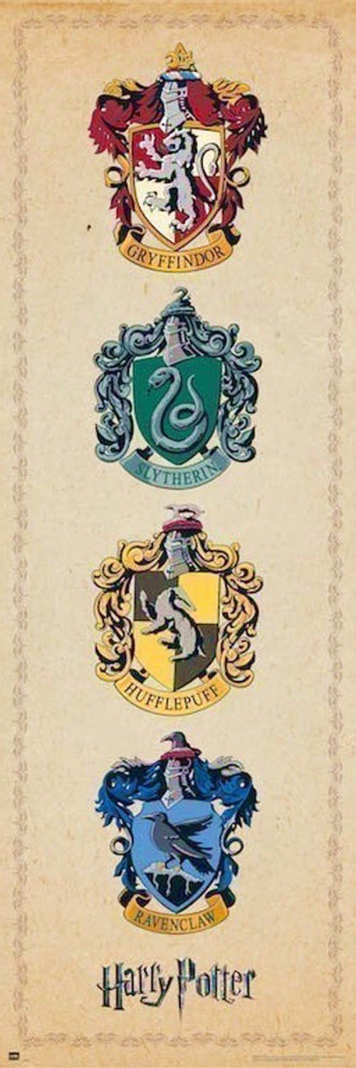 HARRY POTTER  HOUSE CRETS DOOR POSTER İTHAL