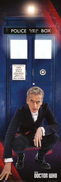NEW DOCTOR & TARDIS DOOR POSTER (İTHAL)