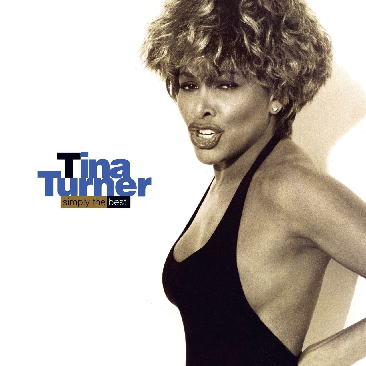 TINA TURNER SIMPLE THE BEST (2LP)