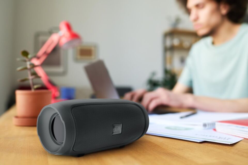 WALK AUDIO H202G WIRELESS HOPERLÖR (GRİ)