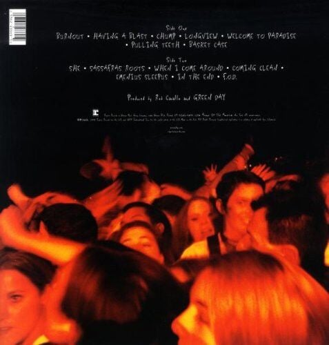 GREEN DAY DOOKIE  (LP)